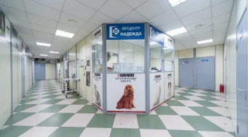 Ветеринарная клиника Надежда изображение 1