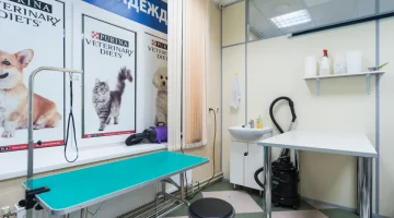 Ветеринарная клиника Надежда изображение 10